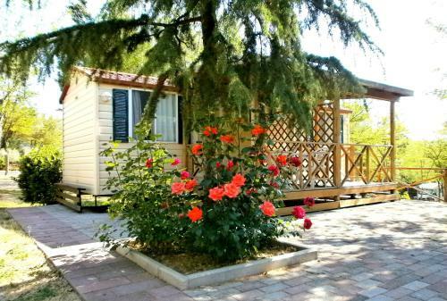 Hotel Camping Village Il Poggetto
