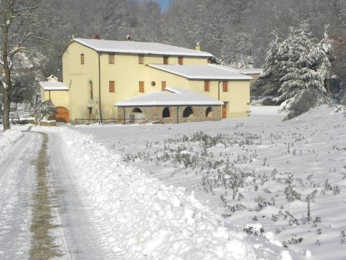 Agroturismo Agriturismo Montassi E Bruscolaio