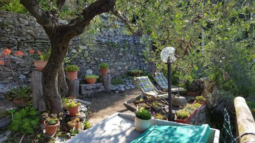 Agroturismo Agriturismo Costelletta