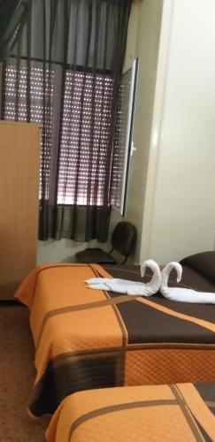 Hostal Rossio Alojamento Local