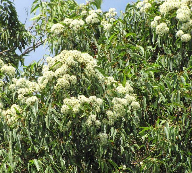 Hostal Residencial Casa Do Jardim