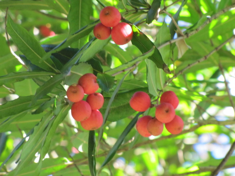 Hostal Residencial Casa Do Jardim