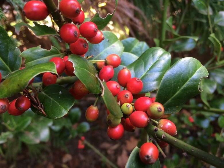 Hostal Residencial Casa Do Jardim