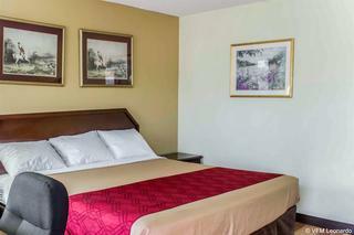 Motel Econo Lodge - Creedmoor