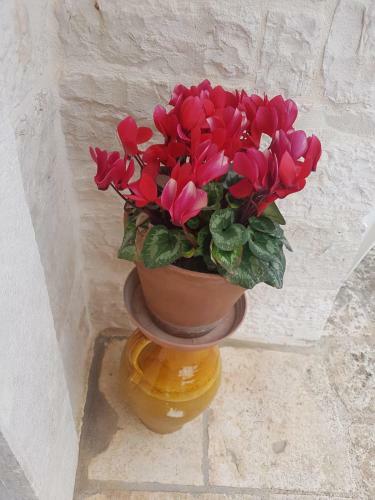 Agroturismo I Trulli Dell'aia Antica