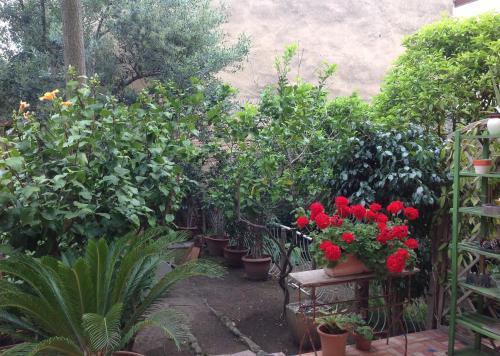 Apartamento Carrer Dels Horts