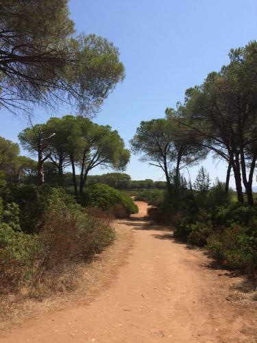 Apartamento Villa Rosanna
