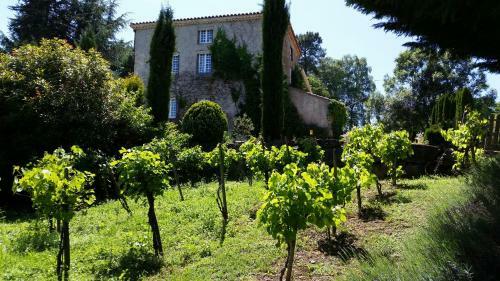 Bed & Breakfast La Ferme De Jeanne
