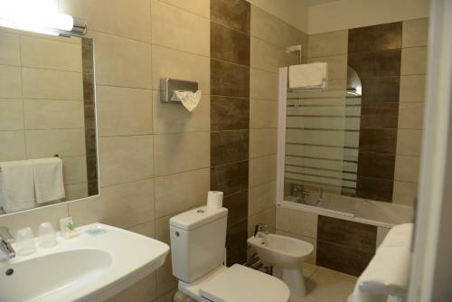 Hotel H�tel Du Lion