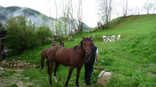 Bed & Breakfast La Chouette � L'heure Du Pinson