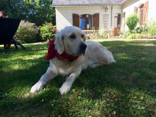 Agroturismo Domaine De Joreau