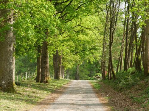 Agroturismo Domaine De Joreau