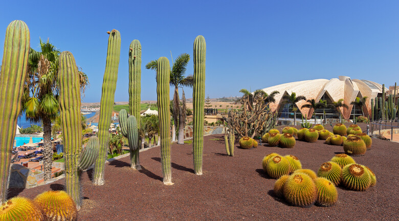 Hotel H10 Playa Meloneras Horizons Collection