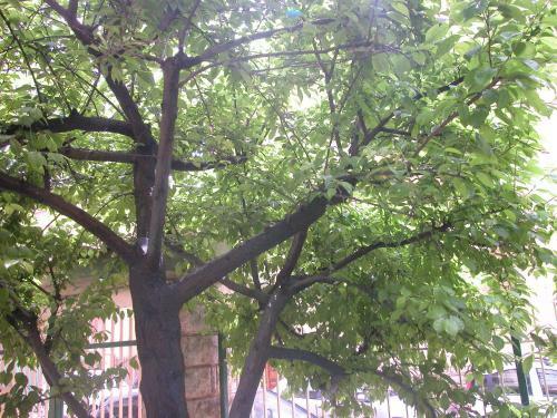 Apartamento Villa Paradise