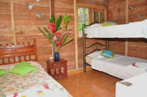 Lodge Posadas Ecoturisticas Seineken