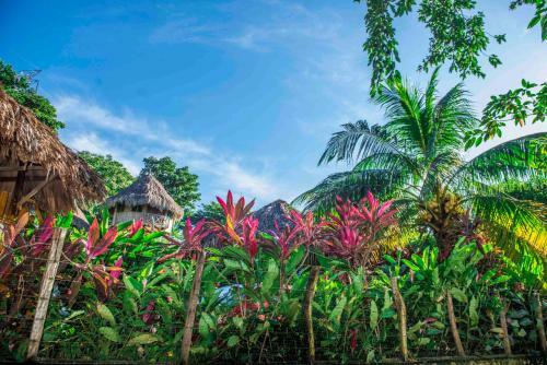 Lodge Posadas Ecoturisticas Seineken