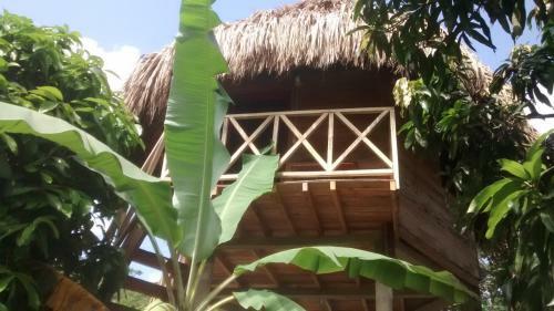 Lodge Posadas Ecoturisticas Seineken