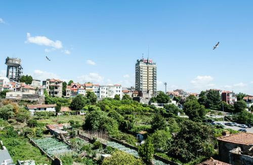 Santa Catarina Downtown Apartment