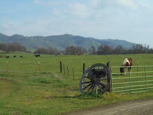 The Branded Calf Bed & Breakfast