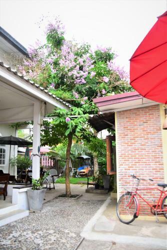 Posada Baan Rare Guesthouse