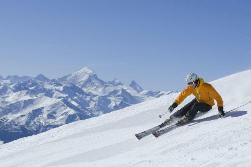 Alpenblick Wellnesshotel