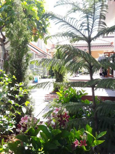 Hotel Barbados Terrace