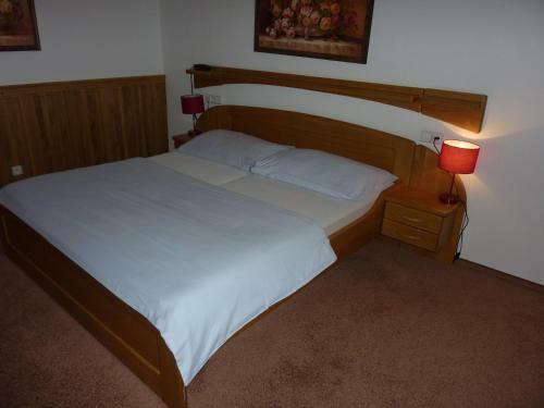 Hotel & Restaurant Na Fry?t�tsk�