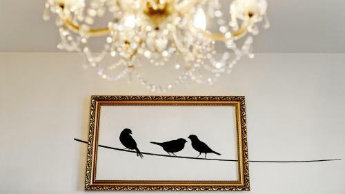 Hostal Bird's Nest