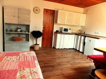 Bed & Breakfast Penzion Bor