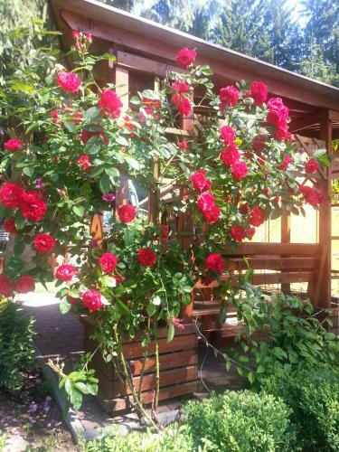 Hostal Penzion Restaurant Pod Boub�nem
