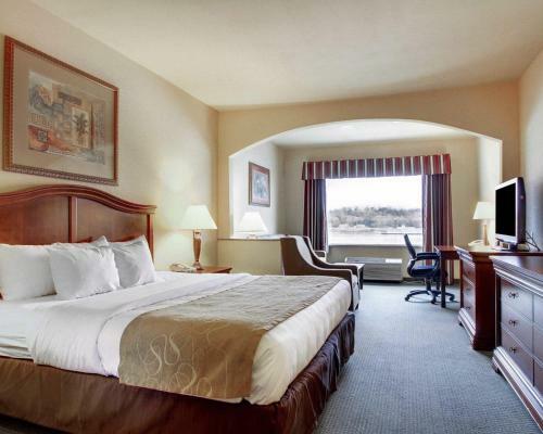 Hotel Comfort Suites Vidalia