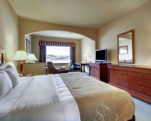 Hotel Comfort Suites Vidalia