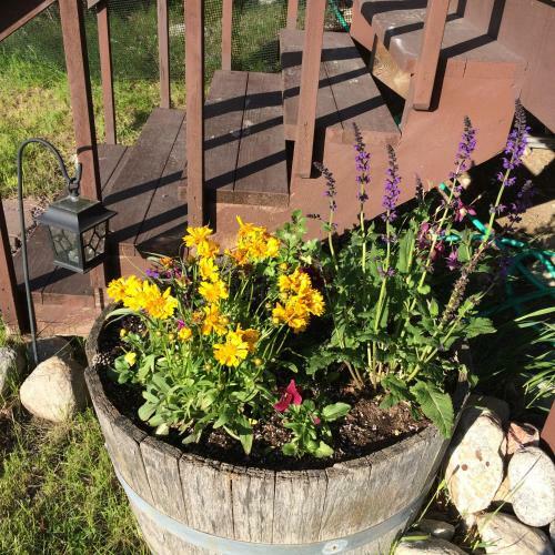 Pine Creek Cabin Livingston Montana