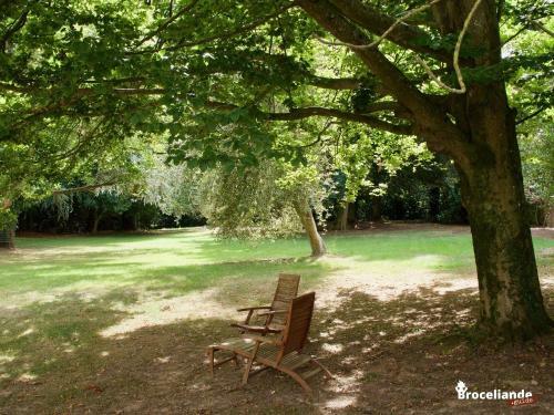 Bed & Breakfast Chambre D'h�tes Les Cam�lias
