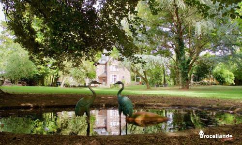 Bed & Breakfast Chambre D'h�tes Les Cam�lias