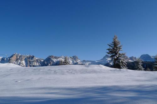 Apartamento Appartamenti Regina Dolomitissime