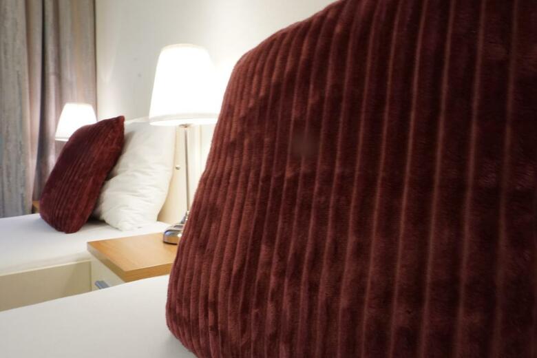 Hotel Goldener Baer