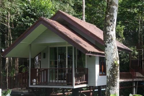 Hotel Rock And Tree House Resort