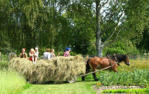 Hotel Wij Tr�dg�rdar