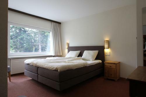 Hostal B&B Swisschalet Montana
