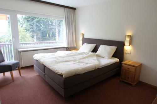 Hostal B&B Swisschalet Montana