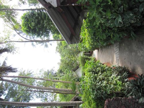 Hotel Pine Bungalow Krabi