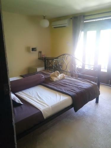 Hostal Davy Jones Locker Hotel