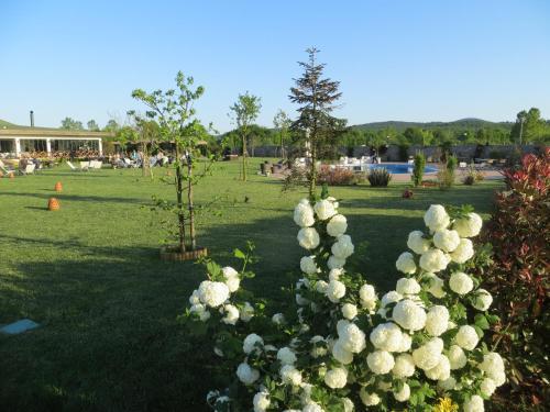 Riva's Club Hotel