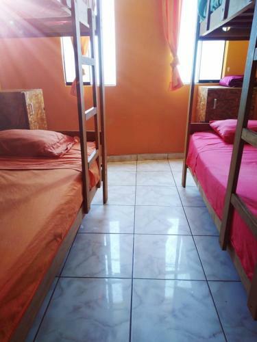 Hostal Frogs Chillhouse Hostel