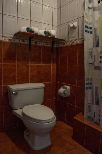 Hostal Frogs Chillhouse Hostel