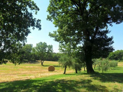 Apartamento Casale Santa Caterina