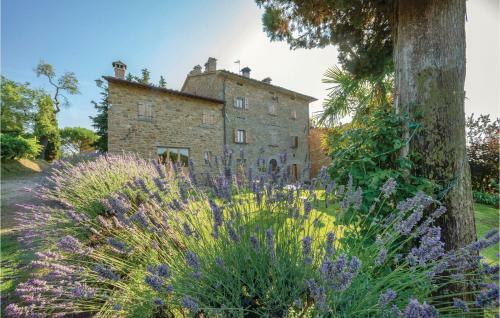 Apartment Frantoio
