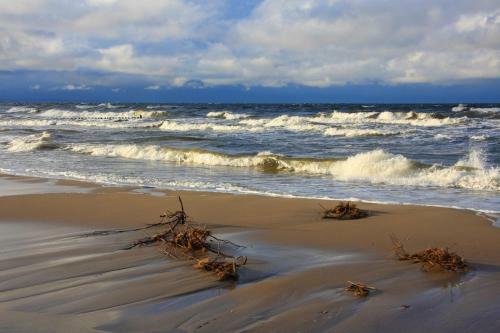 Ferienh�user - Strandhaus Aurell