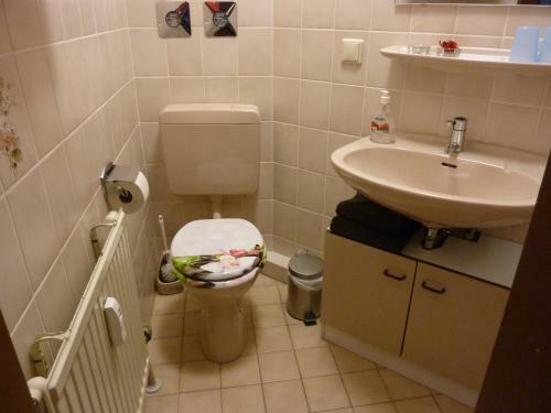Apartamentos Residenz Sachsensteinblick
